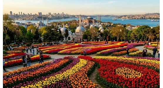 İstanbul-Tulip Festival