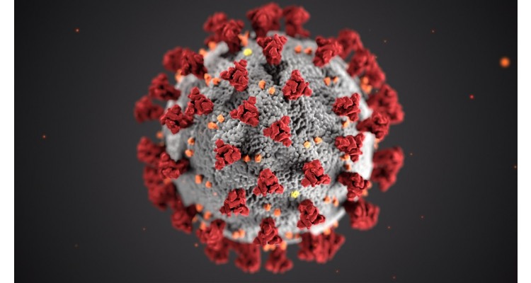 covid19-corona virus