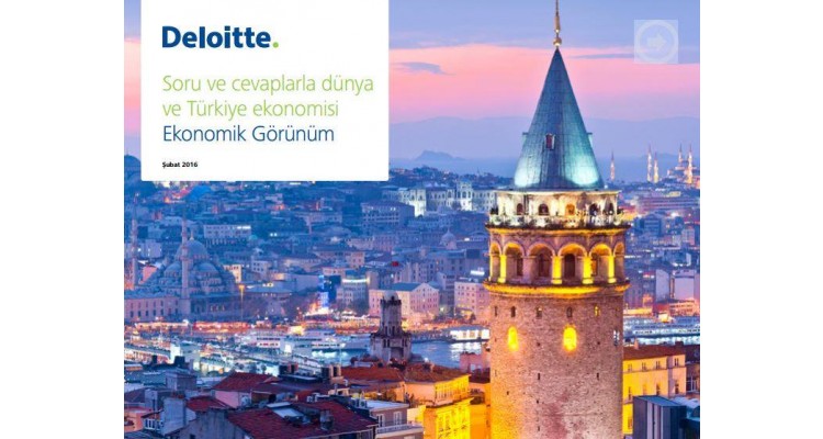 Deloitte-consulting company